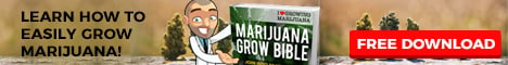 Grow Your Own Cannabis Guide Free Download
